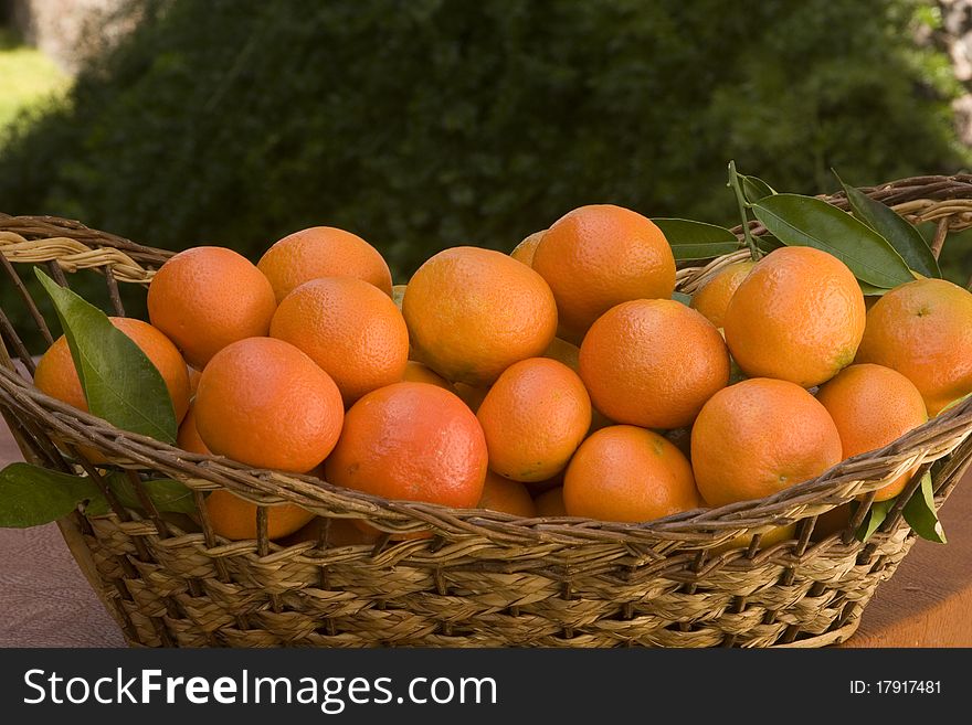 Tangerines