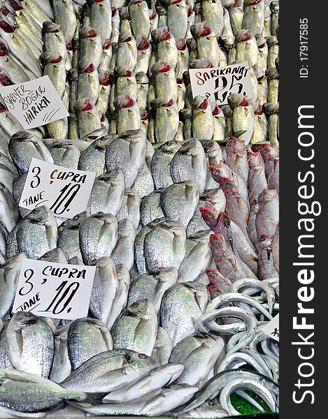 Fish Market