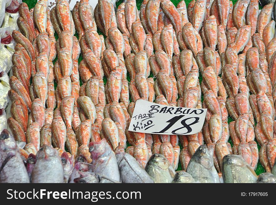 Photo of fresh fish at the Fish Market