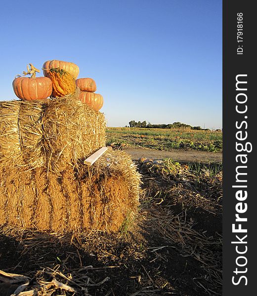 Orange Pumpkins on a Bale of Hay