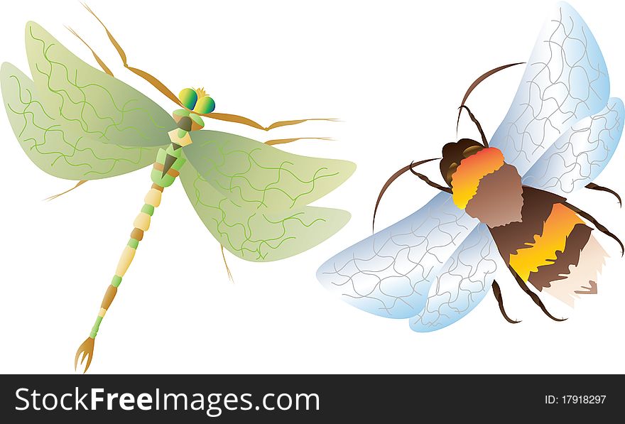 Representatives of a variety of flying insects. Dragonfly and Bumblebee.Vector illustration.