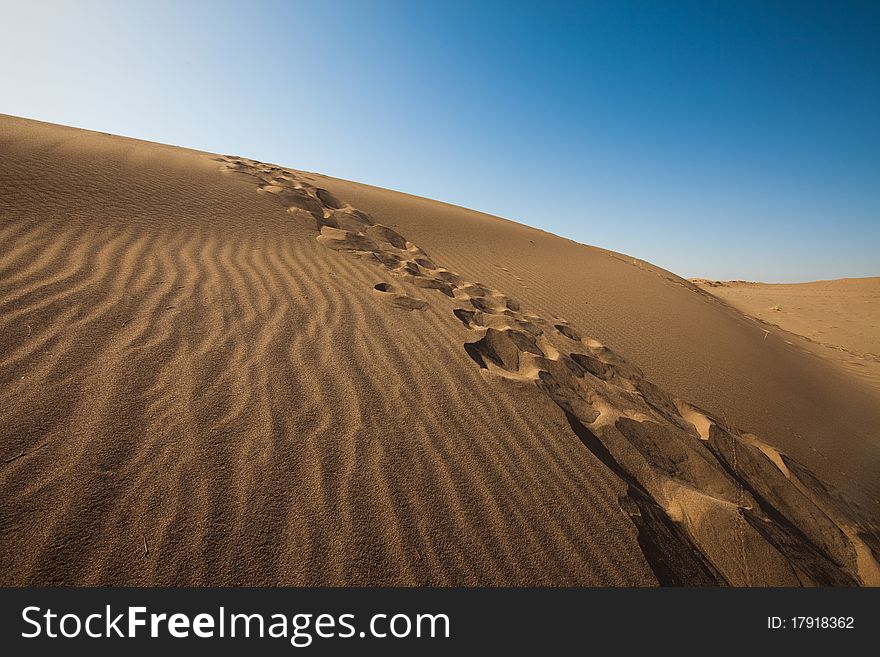 Dune On The Desert.