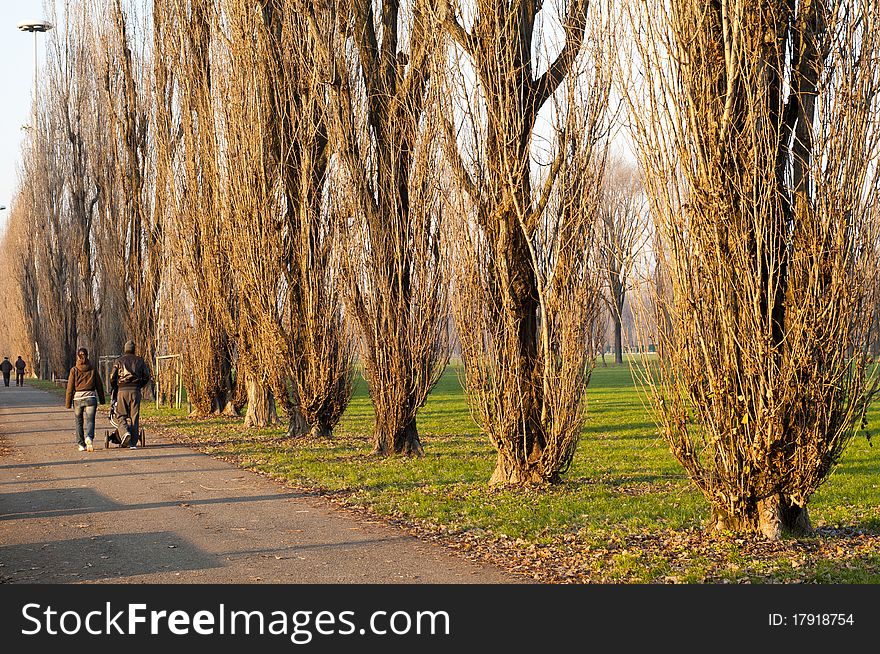 Winter green park with trees, dry leaves and people walking