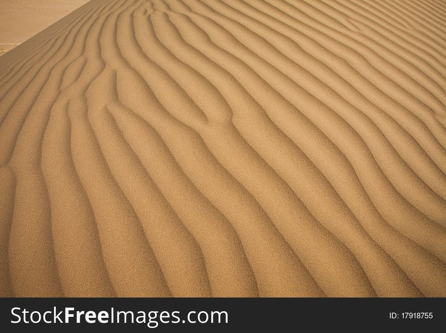 Dune On The Desert.