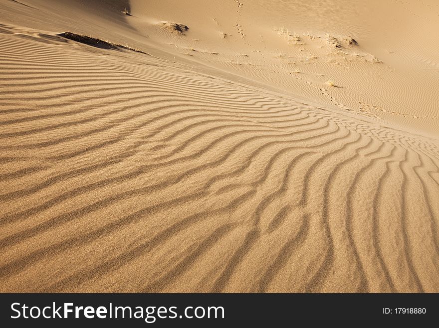 Dune on the dry desert. Dune on the dry desert.