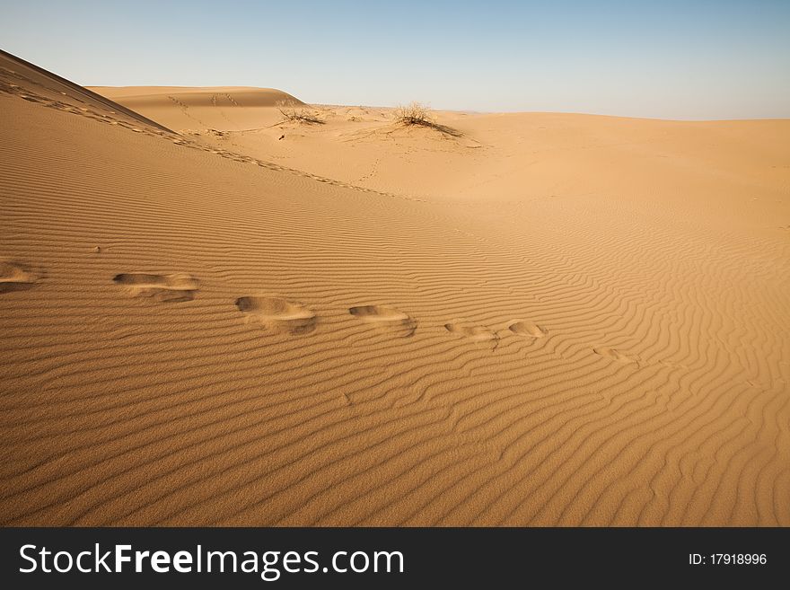 Dune on the dry desert. Dune on the dry desert.