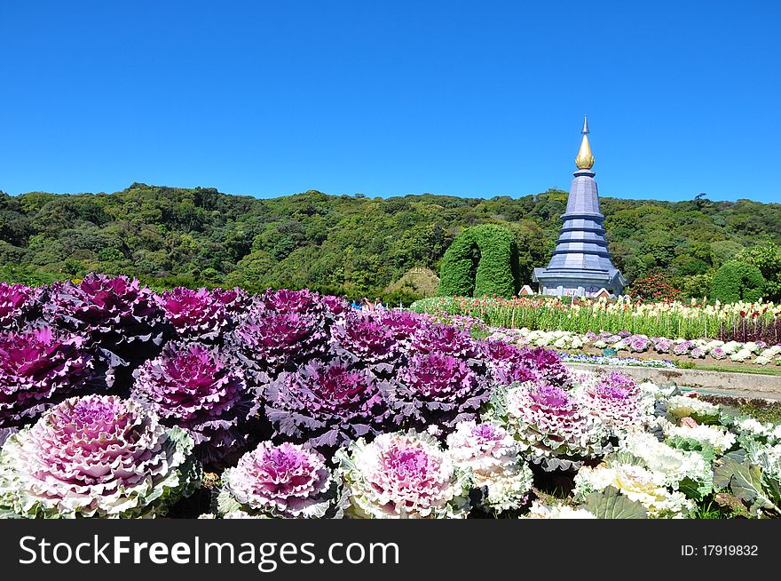 The Stupa Phra Mahathat Naphamethanidon at Doi Ithanon, the highest mountain of Thailand, amidst a beautiful garden.