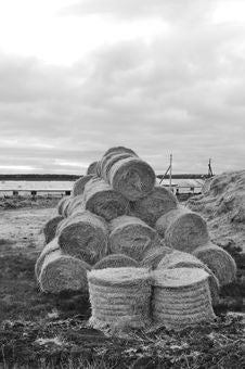 Agricultural Warehouse, Close-up, Black And White Royalty Free Stock Photos Agricultural Warehouse, Close-up, Black And White Royalty Free Stock Photos