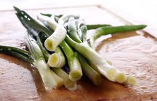 Fresh Green Onion Royalty Free Stock Image Fresh Green Onion Royalty Free Stock Image