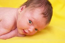 Newborn Baby Royalty Free Stock Images Newborn Baby Royalty Free Stock Images