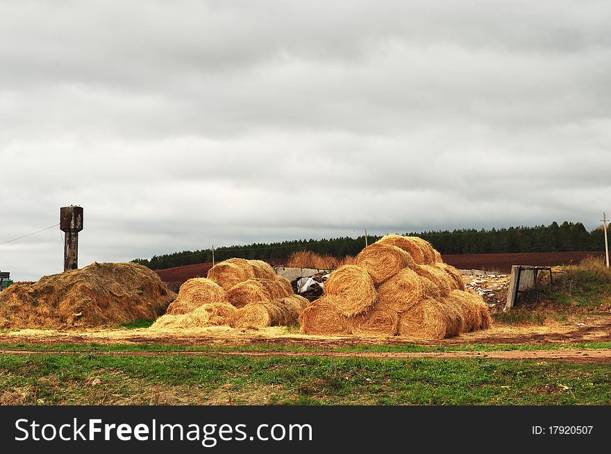 Farm, the stock of straw
