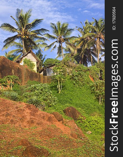Tropical Hut on a Clifftop in Kerala India