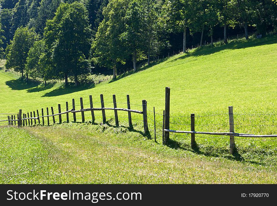 Mountain Pasture Meadows With Fence