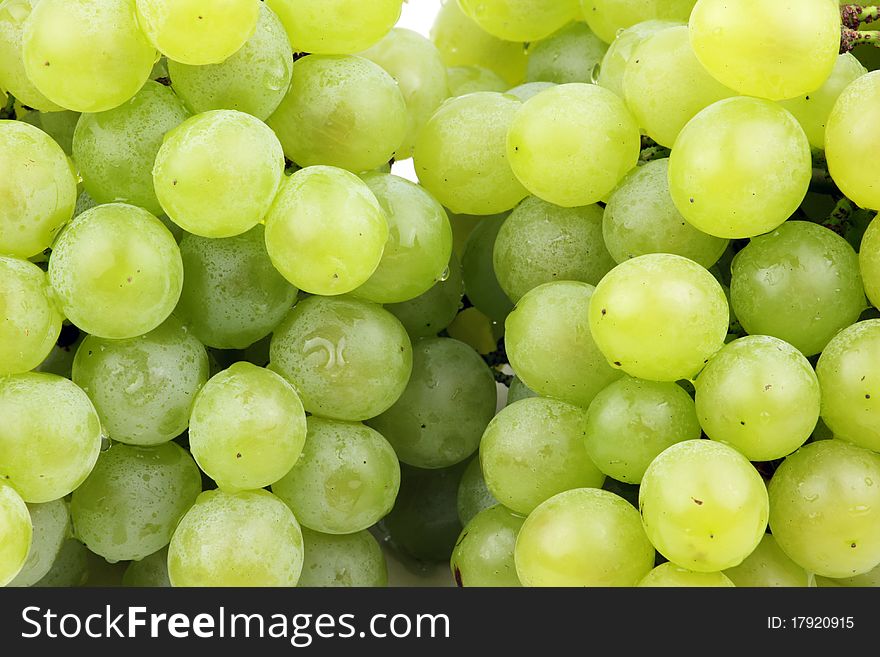 Close up of white grape grains