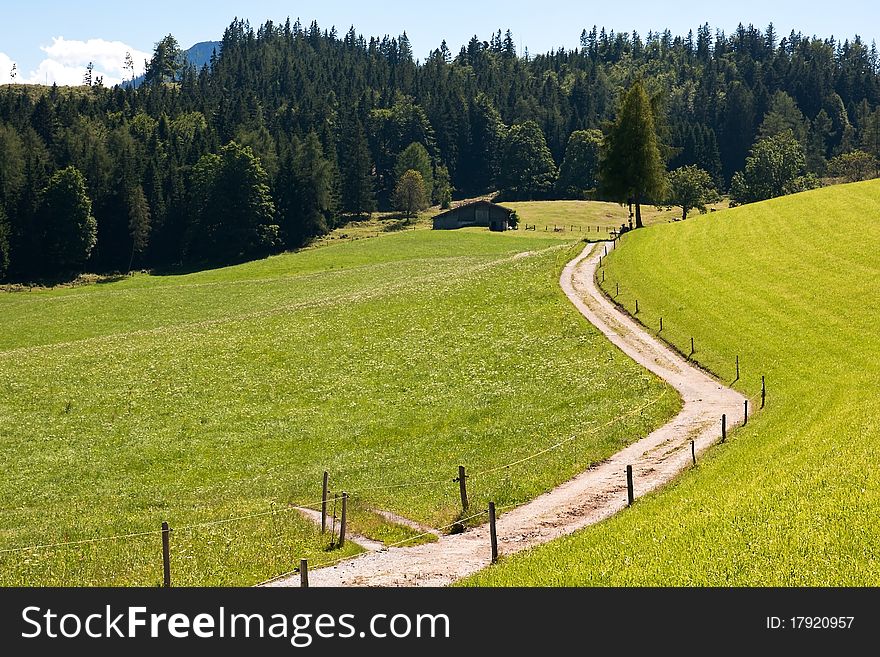 Driveway crossing mountain pasture meadows