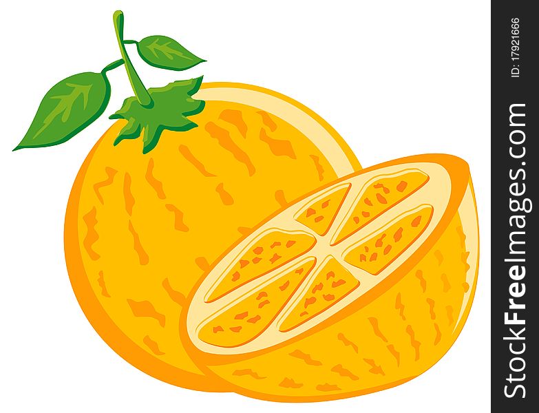 Fresh orange created by vector used it for icon of drink or food product