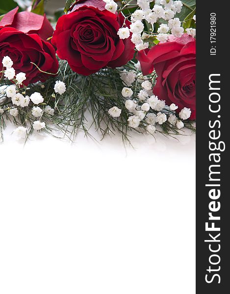 Red roses with space on white