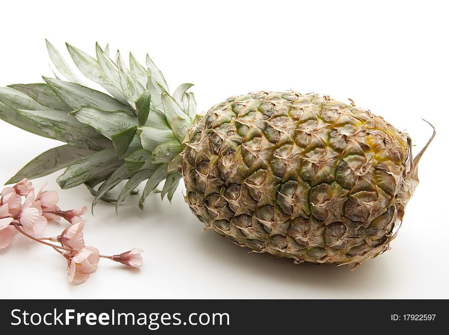 Pineapple a tropical and subtropical fruit. Pineapple a tropical and subtropical fruit