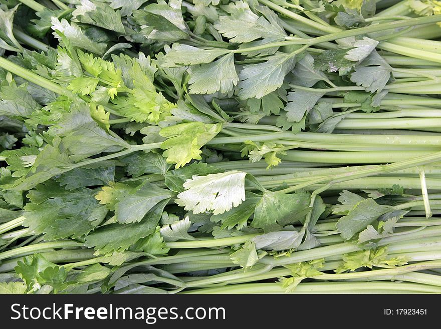 Close-ups a bunch of celery