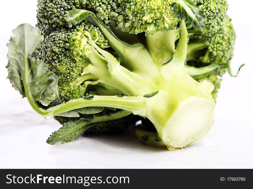 Fresh and wet broccoli on white background. Fresh and wet broccoli on white background