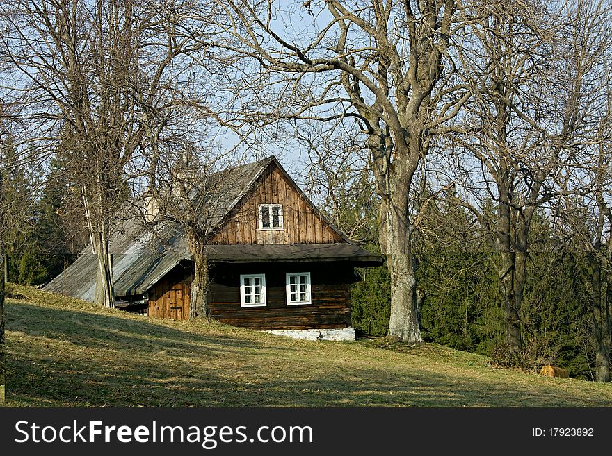 Cottage In The Trees