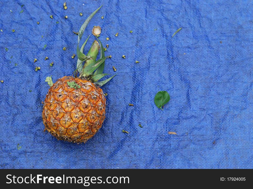 Pineapple on market stall on blue background