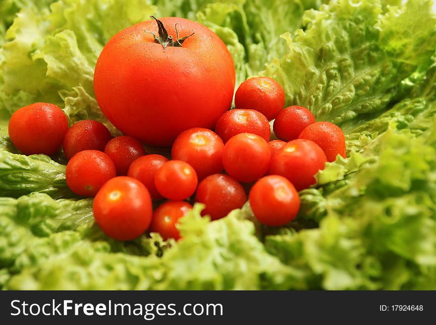 One classic tomato and some cherries. One classic tomato and some cherries