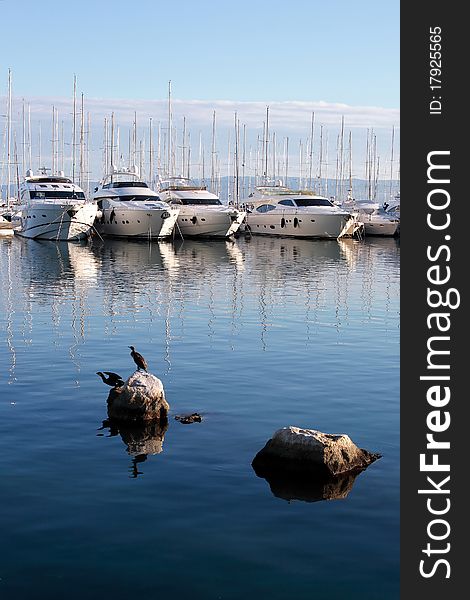 Couple of luxury yachts anchored in marine. Calm sea with two birds on rock in front. Couple of luxury yachts anchored in marine. Calm sea with two birds on rock in front.