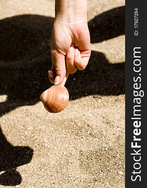 Sea shell in woman's hand. Sea shell in woman's hand