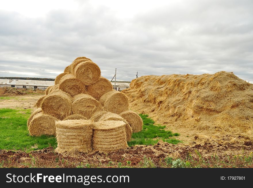 Farm, yellow haystack near bales of straw, after harvest, rural landscape, , harvest and large supply, lying on the ground, visible behind the woods and roof, green grass and sky with clouds. Farm, yellow haystack near bales of straw, after harvest, rural landscape, , harvest and large supply, lying on the ground, visible behind the woods and roof, green grass and sky with clouds