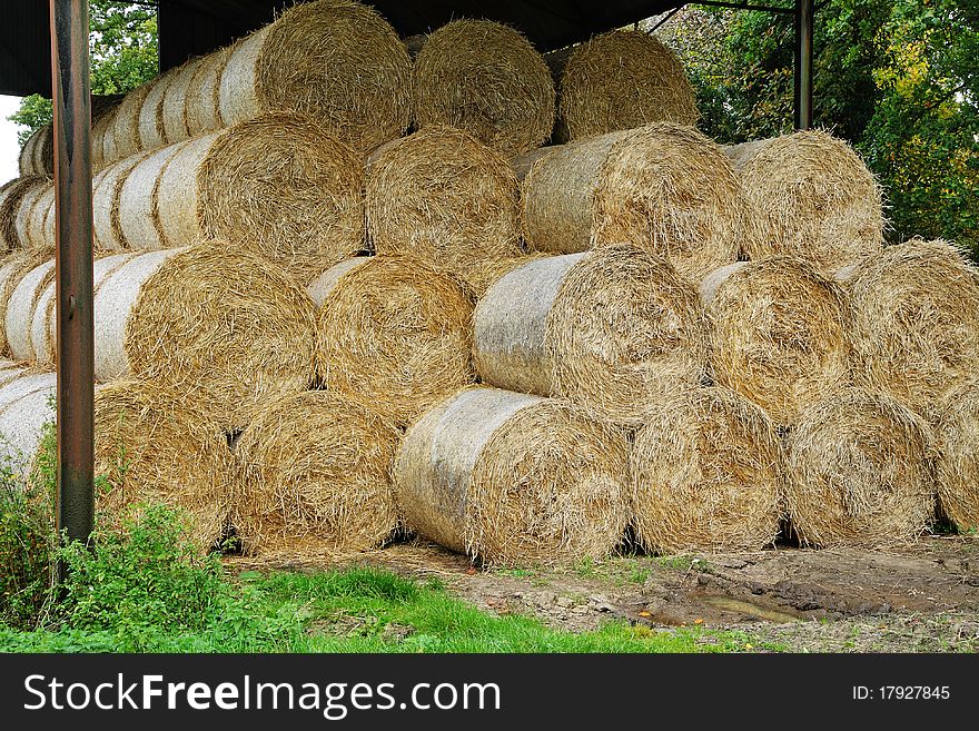 Circular Hay Bales in a Barn