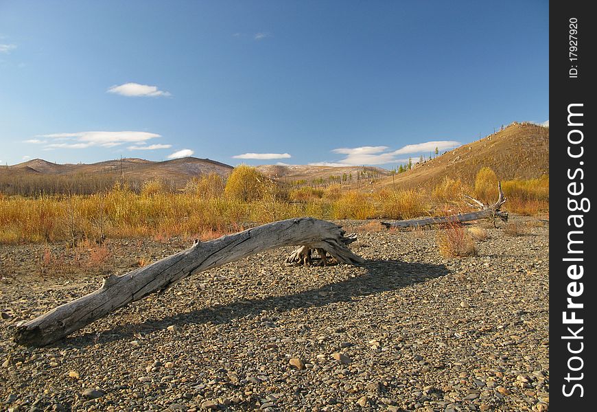 Wild nature - mongolian autumn landscape