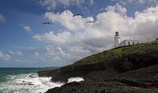Exploration Lighthouse Royalty Free Stock Photo Exploration Lighthouse Royalty Free Stock Photo