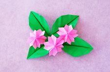 Paper Sakura Stock Image Paper Sakura Stock Image