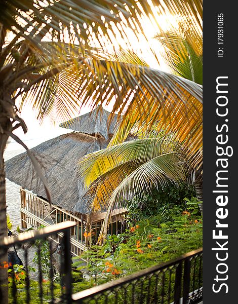 Hut on the beach in Saint Marteen with palm trees and floral. Hut on the beach in Saint Marteen with palm trees and floral