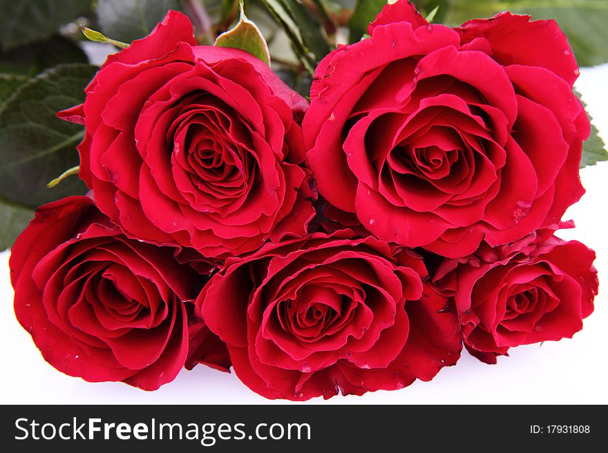 Bouquet of red roses on white background. Bouquet of red roses on white background