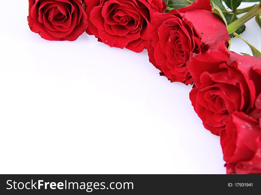 Red Roses Background