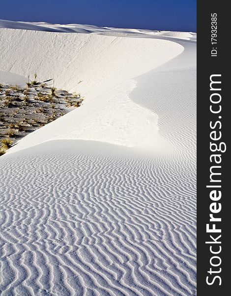 Morning In White Dunes National Monument