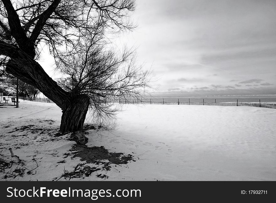 A winter view by the lake. A winter view by the lake