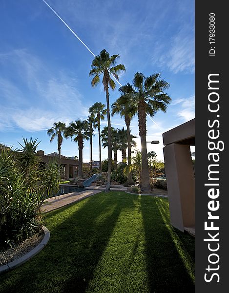 House with palm trees and bright blue sky