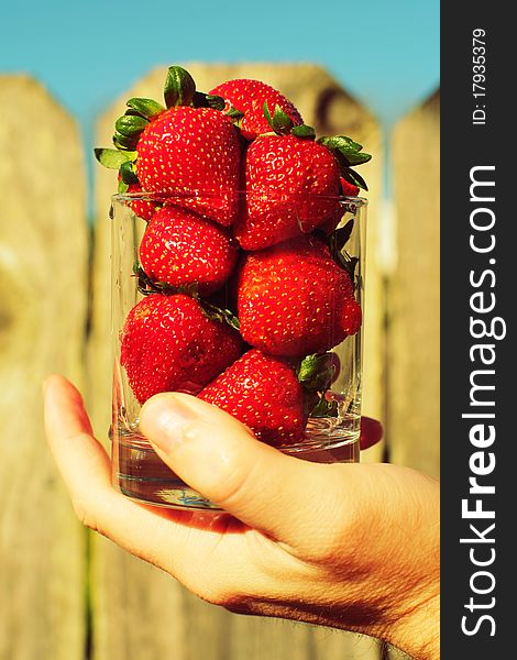 Strawberry in glass in male hand at sunny day at village. Strawberry in glass in male hand at sunny day at village