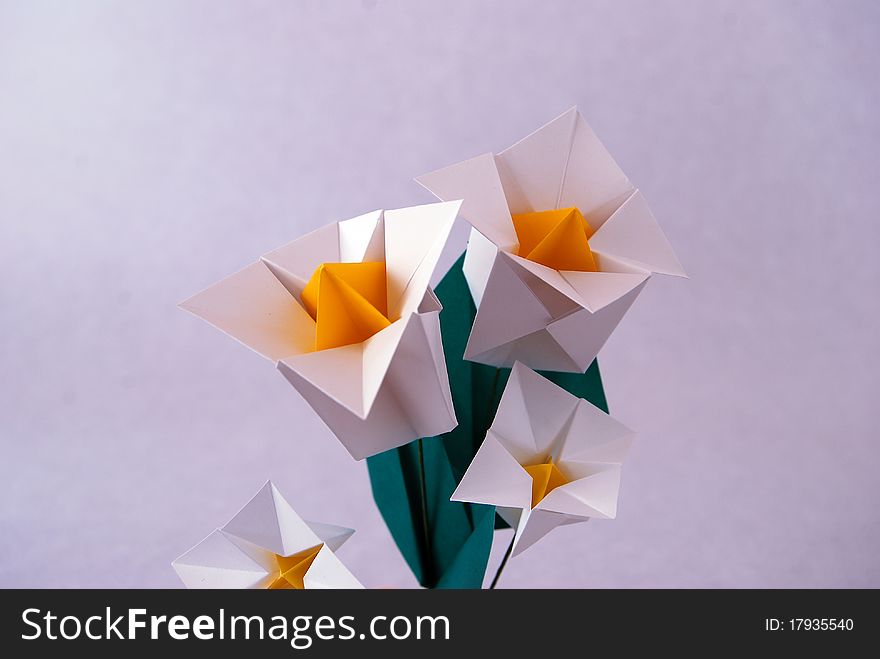 Paper flower, or origami folded and shaped in Texas Bluebell, Tulip