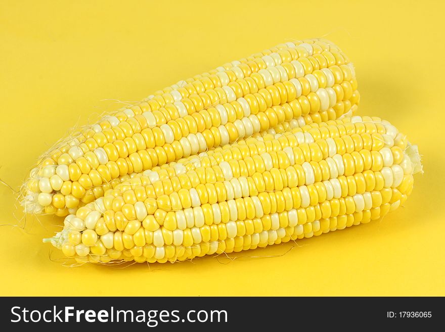 Colorful traditional Thanksgiving corn, isolated on yellow