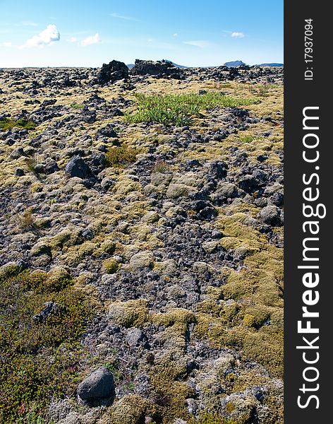 Icelandic landscape with moss-covered basalt