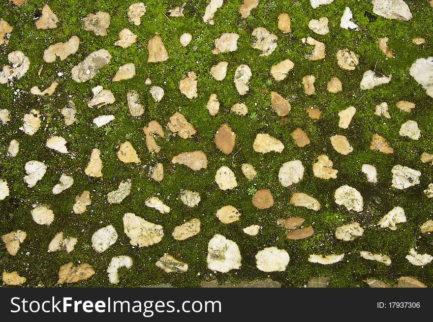 A diversity of cobble stones in green moss in an old european town.