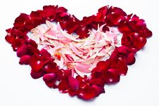 Roses And Hearts. Royalty Free Stock Images Roses And Hearts. Royalty Free Stock Images