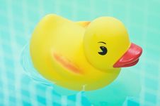 Rubber Duck In Bath Bathroom Stock Images