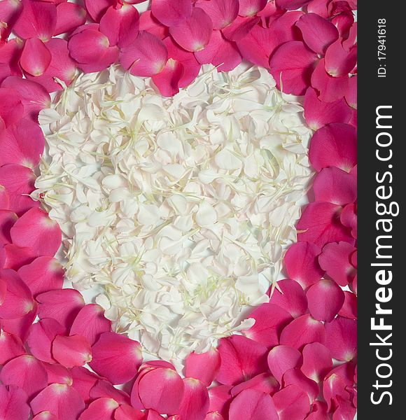 Pink rose petals surrounding cream heart as romantic symbol. Pink rose petals surrounding cream heart as romantic symbol