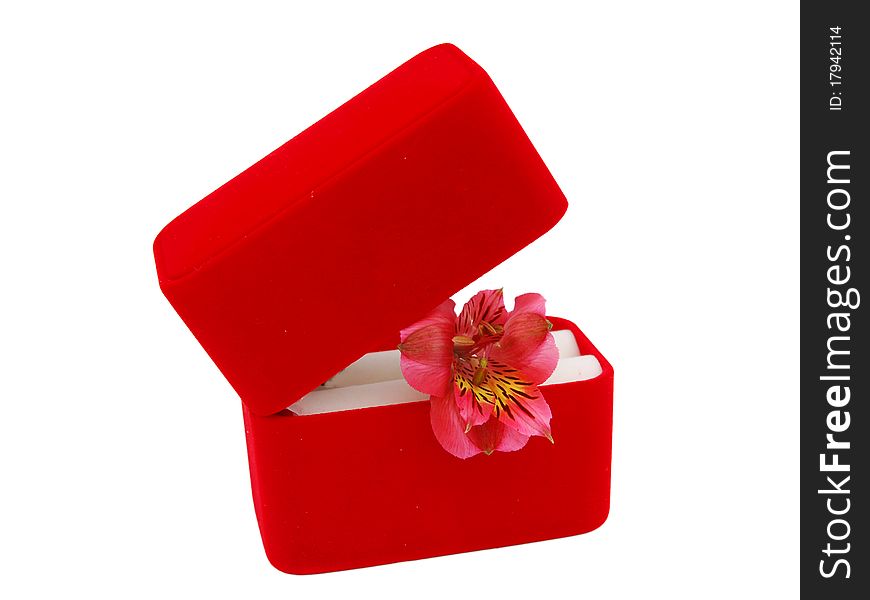 Red box ,lily holiday isolated background