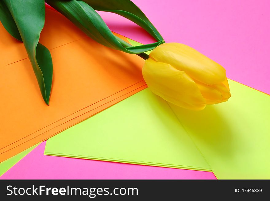 Three yellow tulips on a multi-coloured background